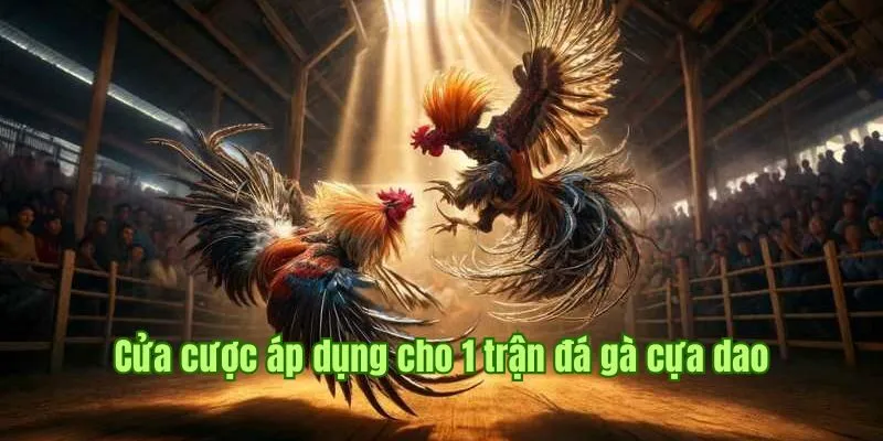 Cửa cược áp dụng cho 1 trận đá gà cựa dao 