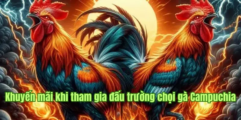 Khuyến mãi nên săn đón khi tham gia đấu trường chọi gà Campuchia 